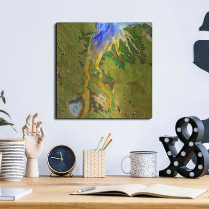 Luxe Metal Art 'Earth as Art: Nature's Patterns,' Metal Wall Art,12x12