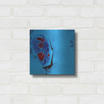 Luxe Metal Art 'Earth as Art: Cellular Ice,' Metal Wall Art,12x12