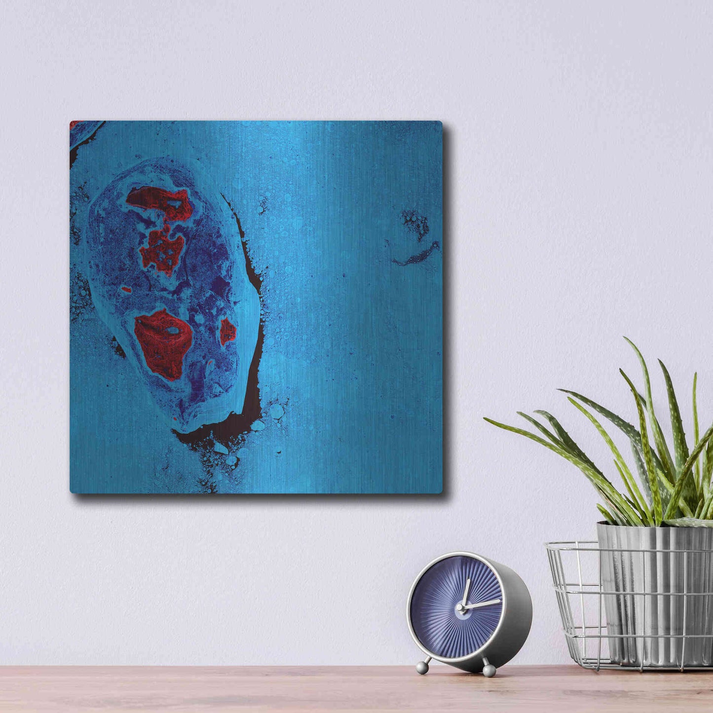 Luxe Metal Art 'Earth as Art: Cellular Ice,' Metal Wall Art,12x12