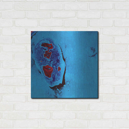 Luxe Metal Art 'Earth as Art: Cellular Ice,' Metal Wall Art,24x24