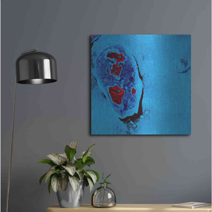 Luxe Metal Art 'Earth as Art: Cellular Ice,' Metal Wall Art,24x24