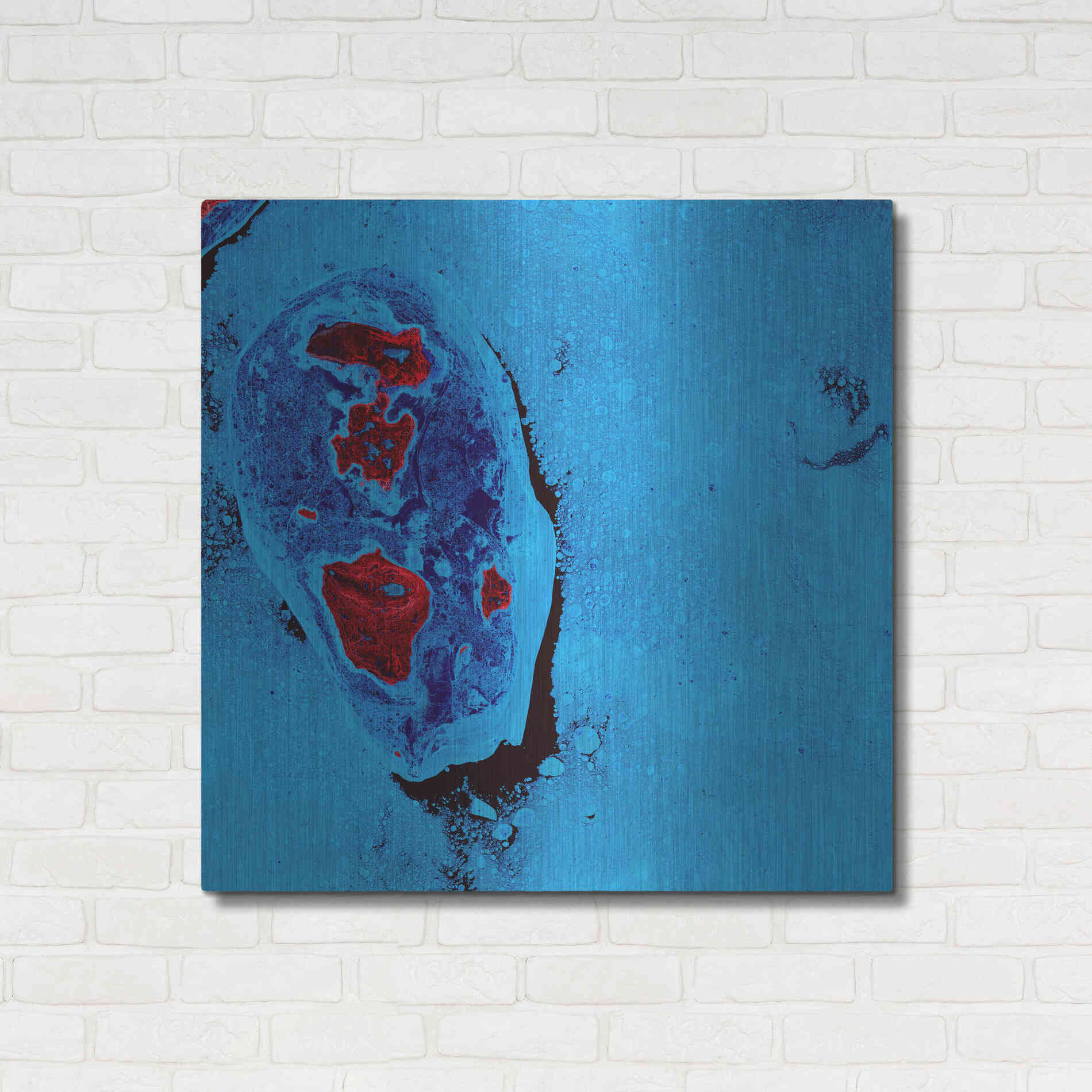 Luxe Metal Art 'Earth as Art: Cellular Ice,' Metal Wall Art,36x36