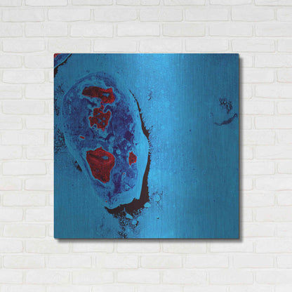 Luxe Metal Art 'Earth as Art: Cellular Ice,' Metal Wall Art,36x36