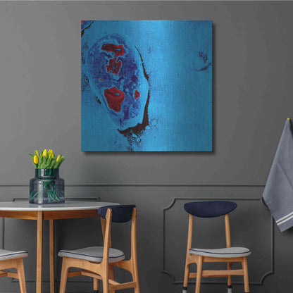 Luxe Metal Art 'Earth as Art: Cellular Ice,' Metal Wall Art,36x36