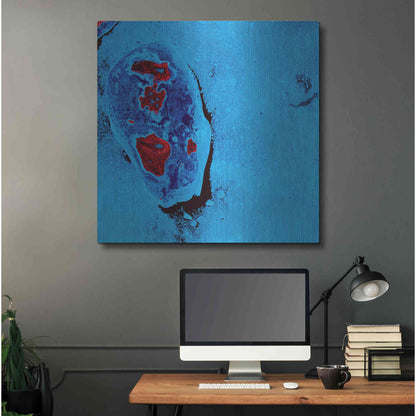 Luxe Metal Art 'Earth as Art: Cellular Ice,' Metal Wall Art,36x36