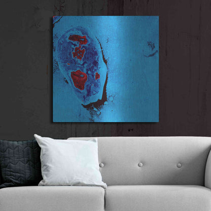 Luxe Metal Art 'Earth as Art: Cellular Ice,' Metal Wall Art,36x36