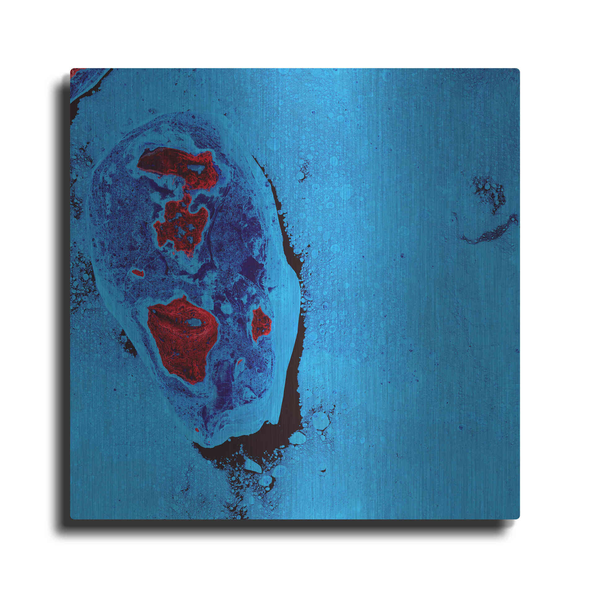 Luxe Metal Art 'Earth as Art: Cellular Ice,' Metal Wall Art