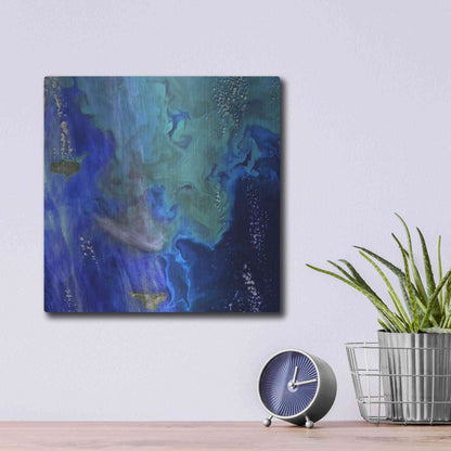 Luxe Metal Art 'Earth as Art: Earth's Aquarium,' Metal Wall Art,12x12