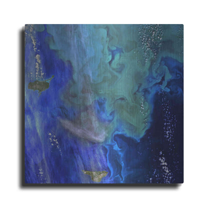 Luxe Metal Art 'Earth as Art: Earth's Aquarium,' Metal Wall Art