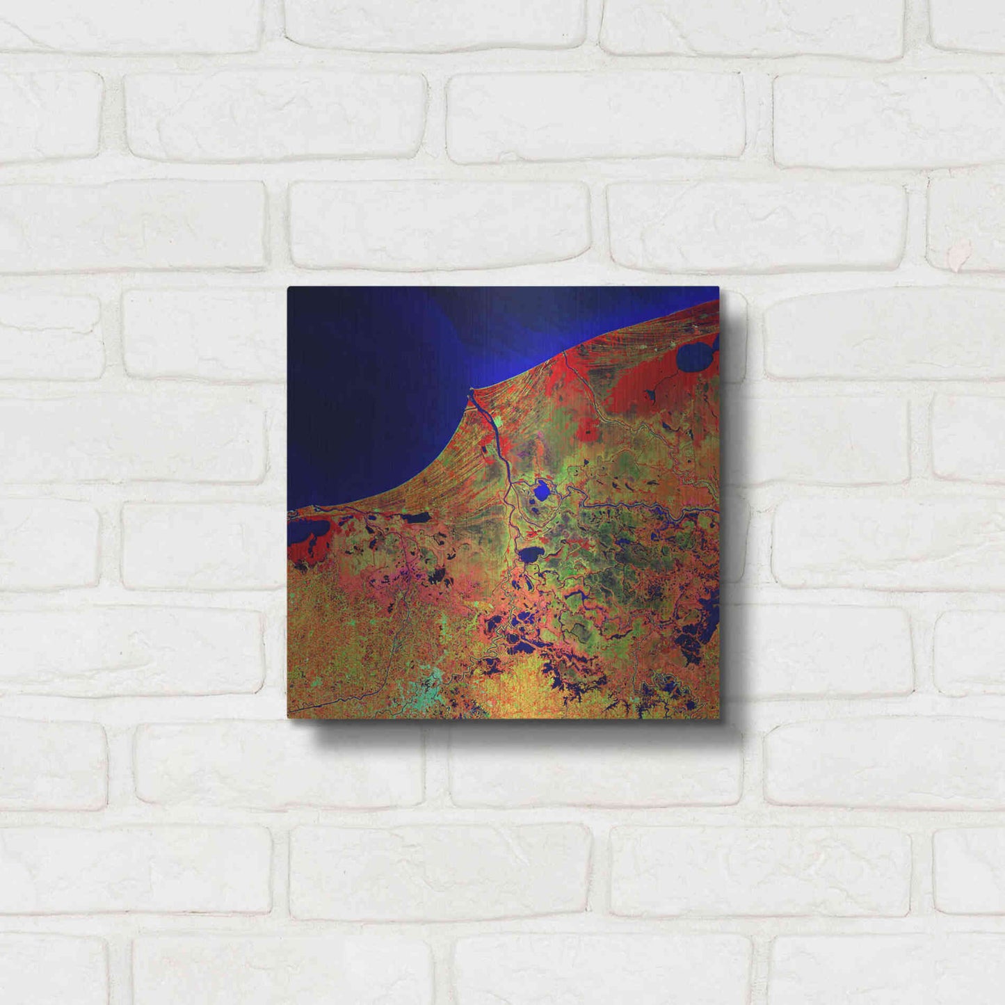 Luxe Metal Art 'Earth as Art: Mexico's Biosphere,' Metal Wall Art,12x12