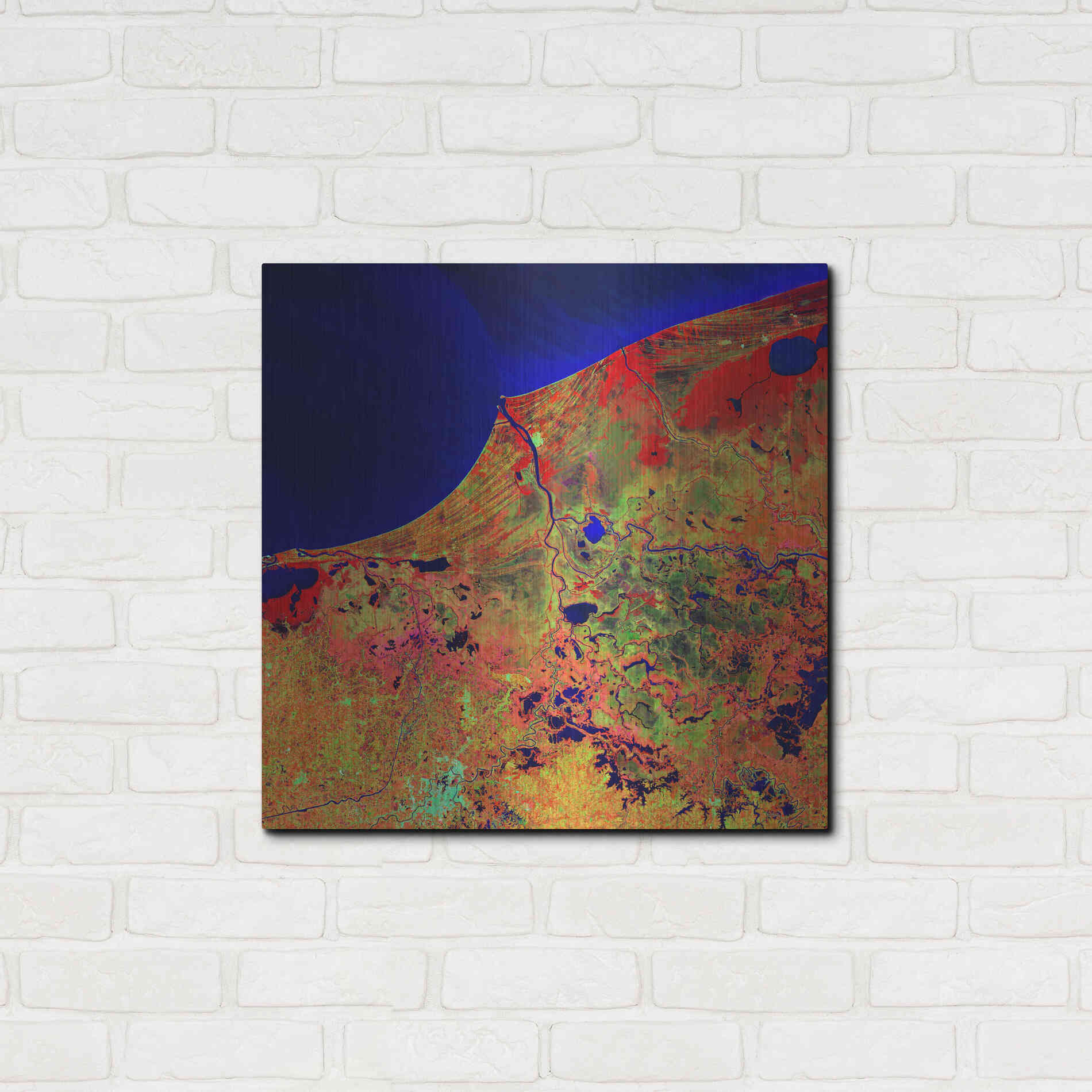 Luxe Metal Art 'Earth as Art: Mexico's Biosphere,' Metal Wall Art,24x24