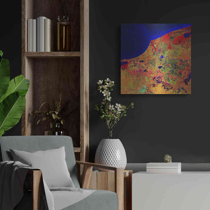 Luxe Metal Art 'Earth as Art: Mexico's Biosphere,' Metal Wall Art,24x24