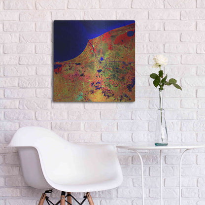 Luxe Metal Art 'Earth as Art: Mexico's Biosphere,' Metal Wall Art,24x24