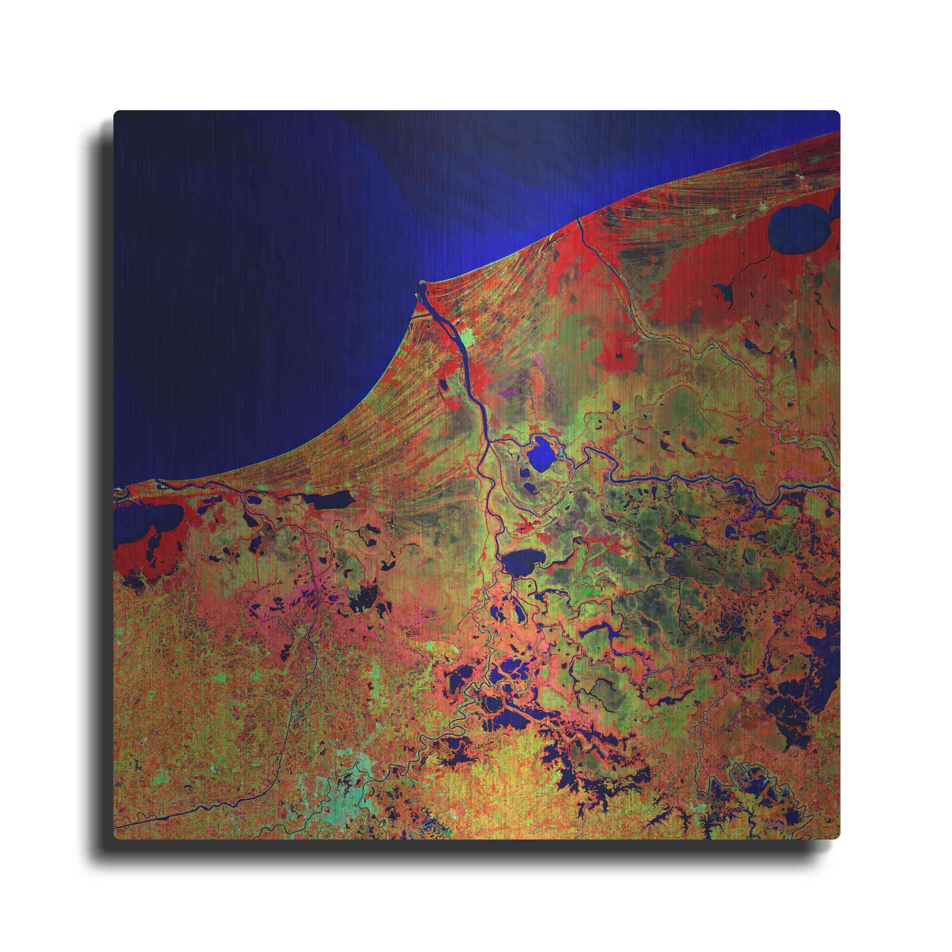 Luxe Metal Art 'Earth as Art: Mexico's Biosphere,' Metal Wall Art