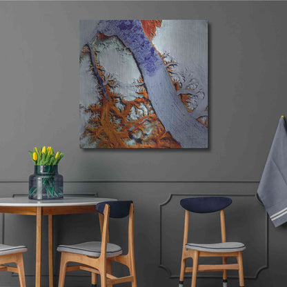 Luxe Metal Art 'Earth as Art: Petermann Glacier,' Metal Wall Art,36x36