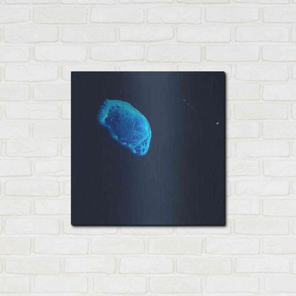 Luxe Metal Art 'Earth as Art: Scorpion Reef,' Metal Wall Art,24x24