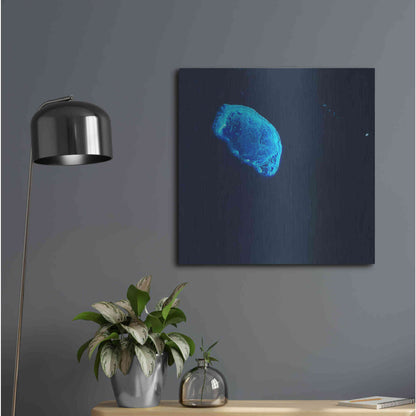 Luxe Metal Art 'Earth as Art: Scorpion Reef,' Metal Wall Art,24x24