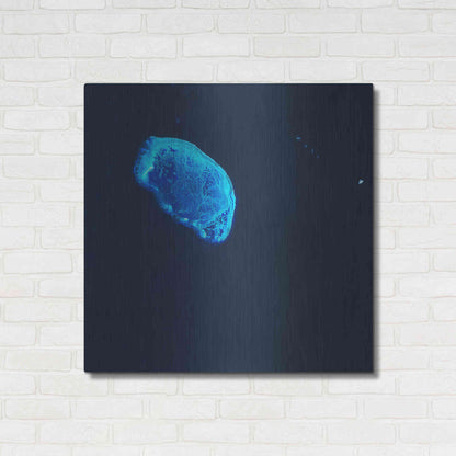 Luxe Metal Art 'Earth as Art: Scorpion Reef,' Metal Wall Art,36x36