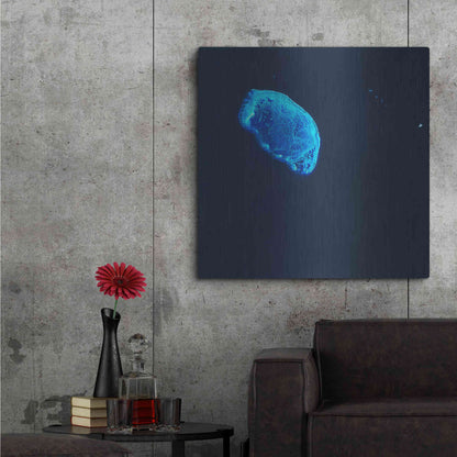 Luxe Metal Art 'Earth as Art: Scorpion Reef,' Metal Wall Art,36x36