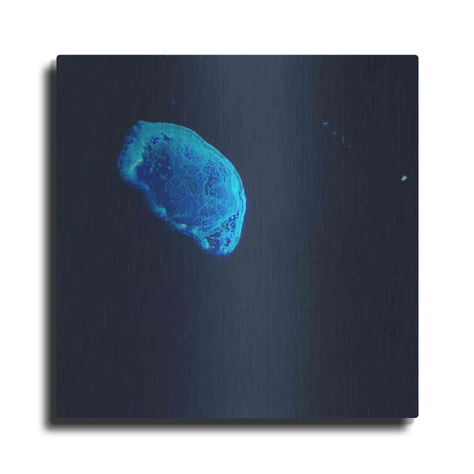 Luxe Metal Art 'Earth as Art: Scorpion Reef,' Metal Wall Art