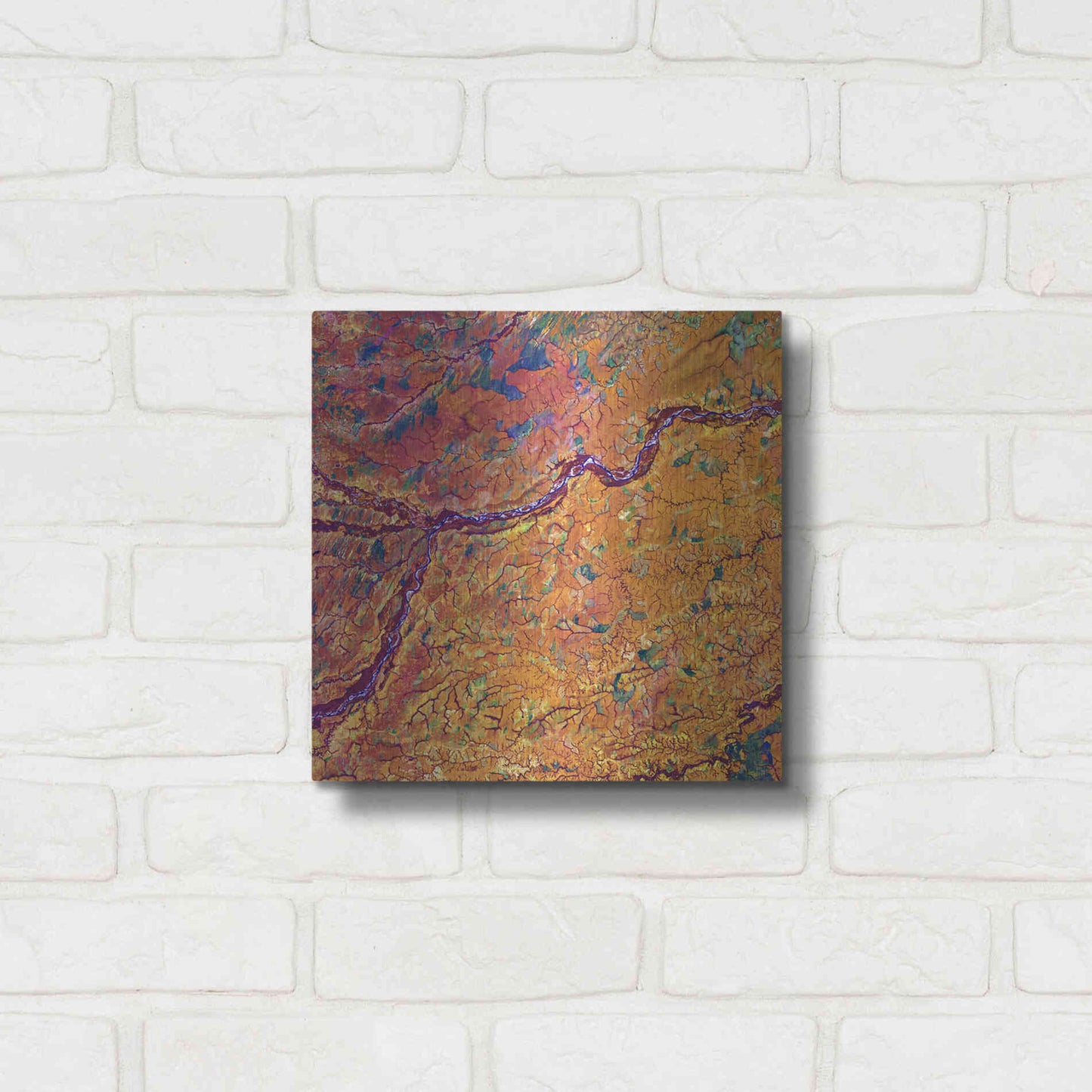 Luxe Metal Art 'Earth as Art: Capillaries,' Metal Wall Art,12x12
