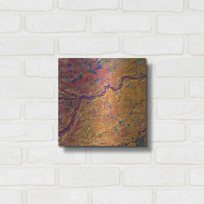 Luxe Metal Art 'Earth as Art: Capillaries,' Metal Wall Art,12x12