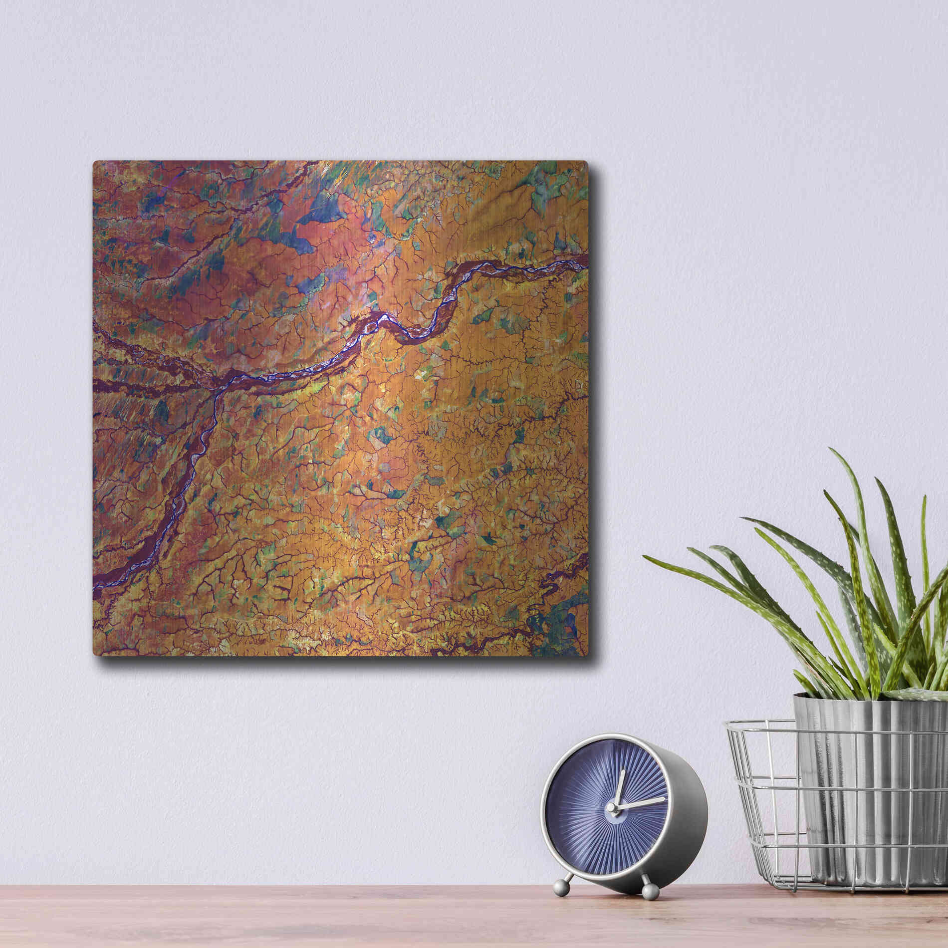 Luxe Metal Art 'Earth as Art: Capillaries,' Metal Wall Art,12x12