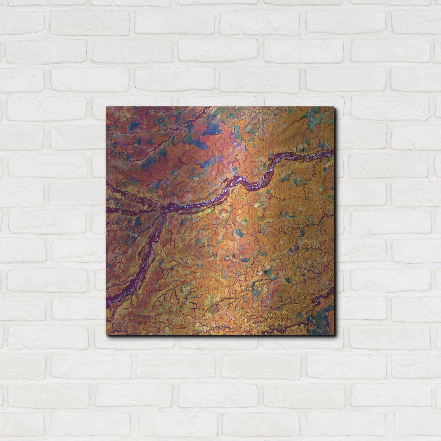 Luxe Metal Art 'Earth as Art: Capillaries,' Metal Wall Art,24x24