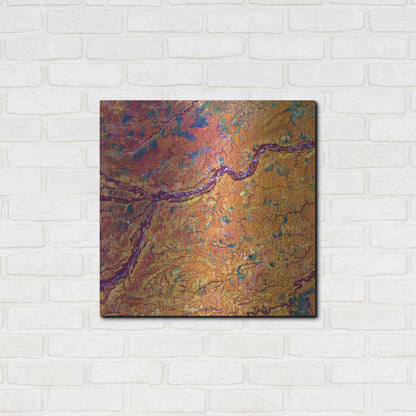 Luxe Metal Art 'Earth as Art: Capillaries,' Metal Wall Art,24x24