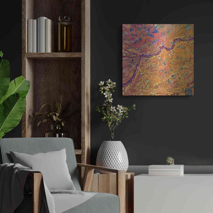 Luxe Metal Art 'Earth as Art: Capillaries,' Metal Wall Art,24x24