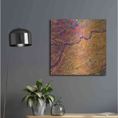Luxe Metal Art 'Earth as Art: Capillaries,' Metal Wall Art,24x24