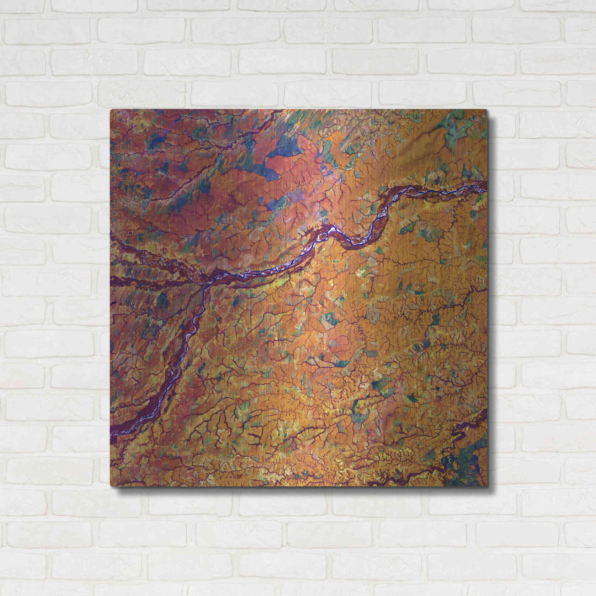 Luxe Metal Art 'Earth as Art: Capillaries,' Metal Wall Art,36x36