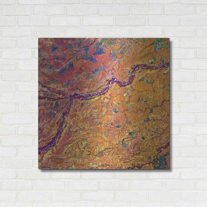 Luxe Metal Art 'Earth as Art: Capillaries,' Metal Wall Art,36x36