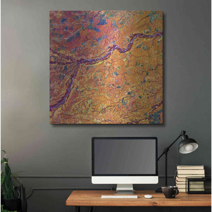 Luxe Metal Art 'Earth as Art: Capillaries,' Metal Wall Art,36x36