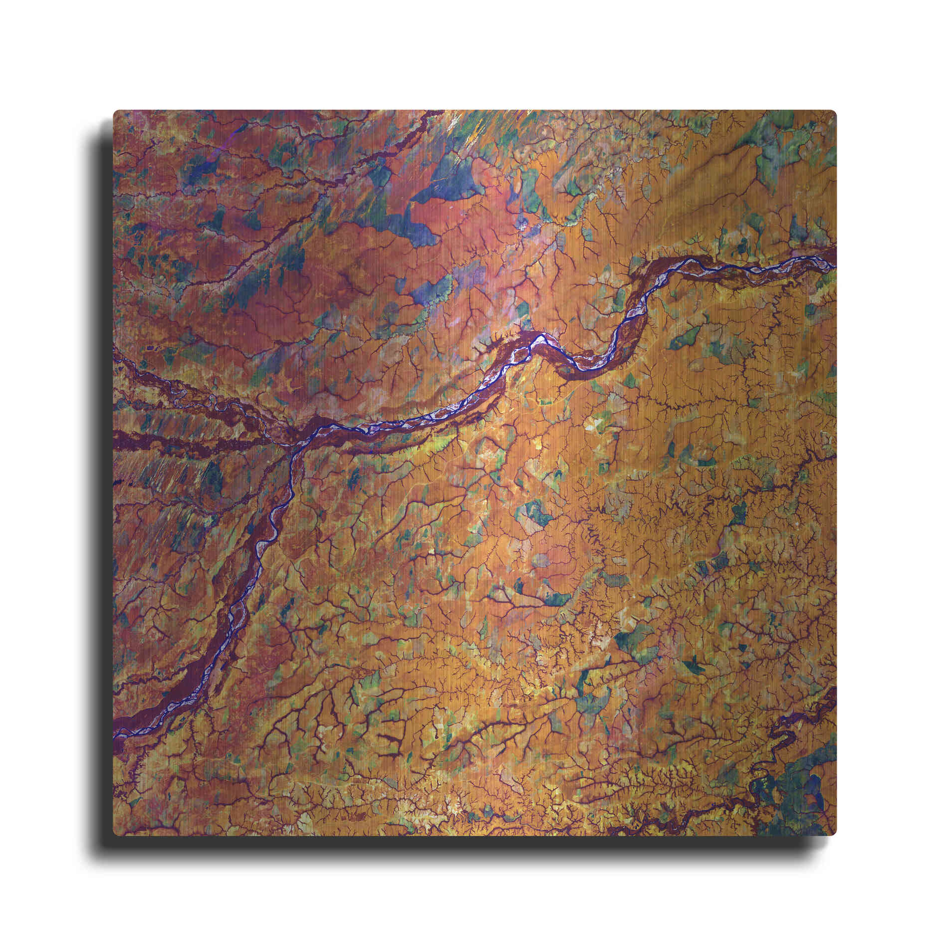 Luxe Metal Art 'Earth as Art: Capillaries,' Metal Wall Art