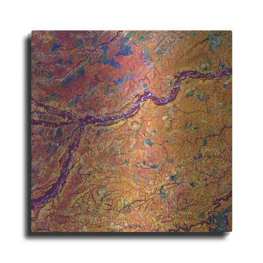Luxe Metal Art 'Earth as Art: Capillaries,' Metal Wall Art