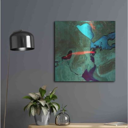 Luxe Metal Art 'Earth as Art: Bleeding Heart,' Metal Wall Art,24x24