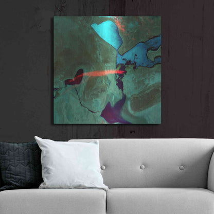 Luxe Metal Art 'Earth as Art: Bleeding Heart,' Metal Wall Art,36x36