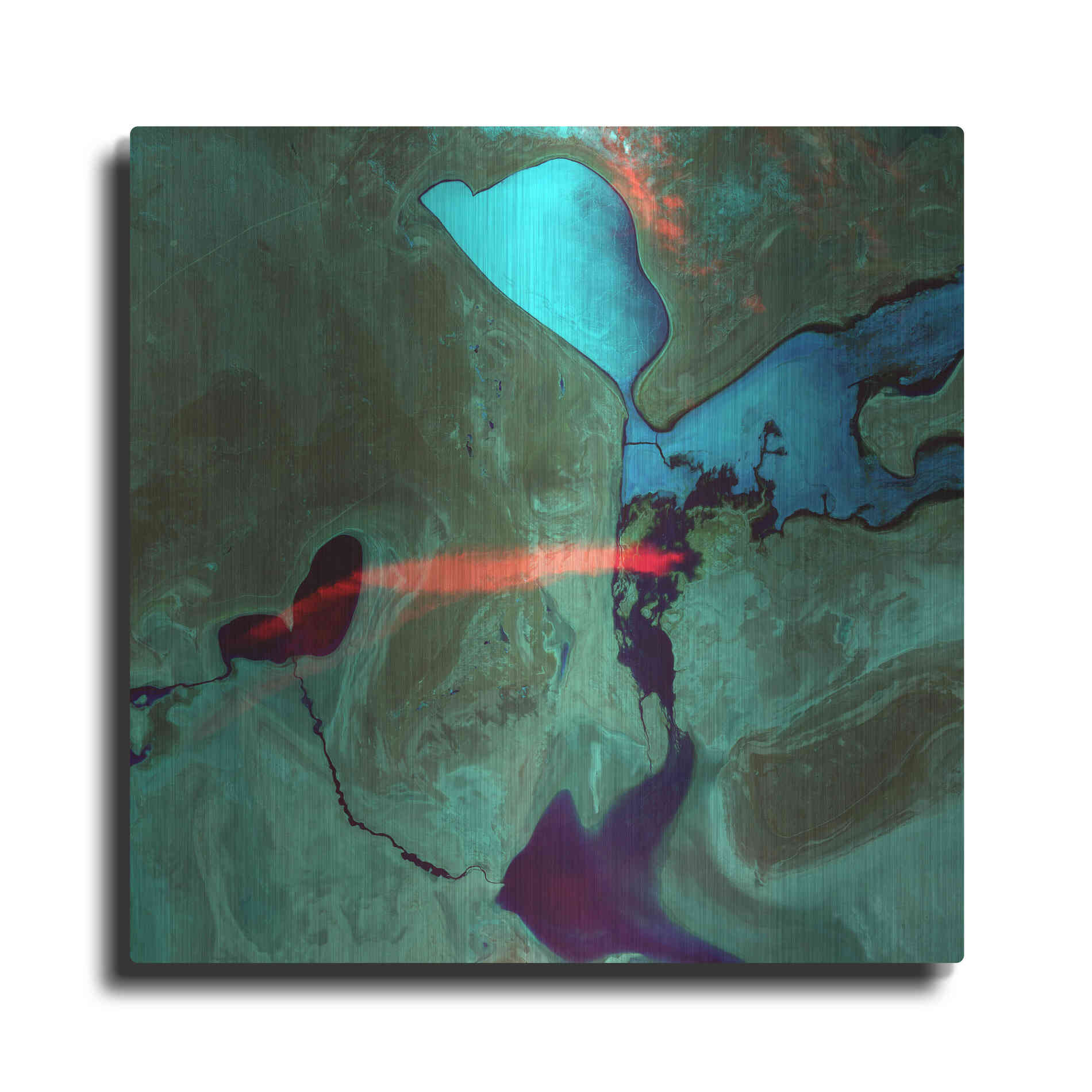 Luxe Metal Art 'Earth as Art: Bleeding Heart,' Metal Wall Art