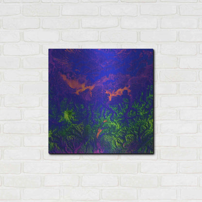 Luxe Metal Art 'Earth as Art: Fanciful Fluorescence,' Metal Wall Art,24x24