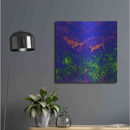 Luxe Metal Art 'Earth as Art: Fanciful Fluorescence,' Metal Wall Art,24x24