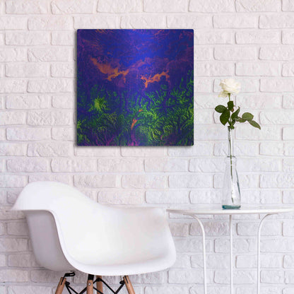 Luxe Metal Art 'Earth as Art: Fanciful Fluorescence,' Metal Wall Art,24x24