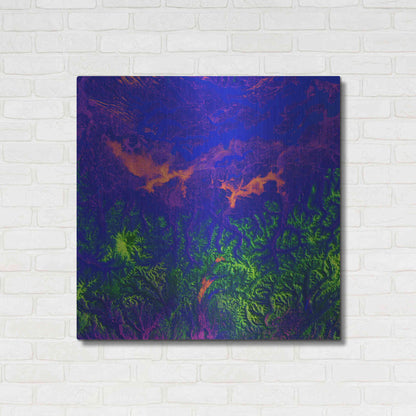Luxe Metal Art 'Earth as Art: Fanciful Fluorescence,' Metal Wall Art,36x36