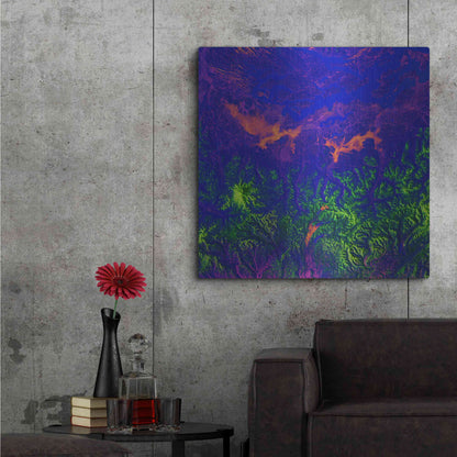 Luxe Metal Art 'Earth as Art: Fanciful Fluorescence,' Metal Wall Art,36x36