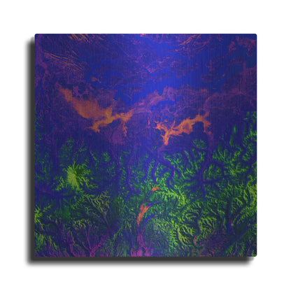 Luxe Metal Art 'Earth as Art: Fanciful Fluorescence,' Metal Wall Art