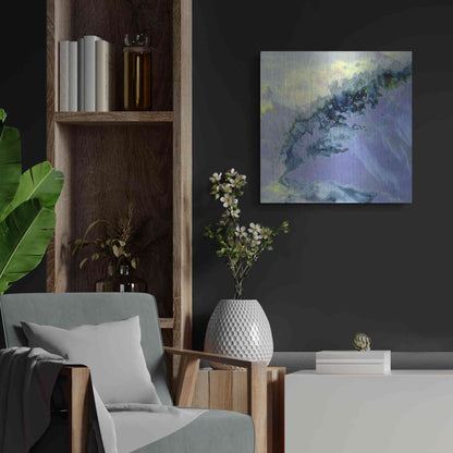 Luxe Metal Art 'Earth as Art: Lurking Madness,' Metal Wall Art,24x24