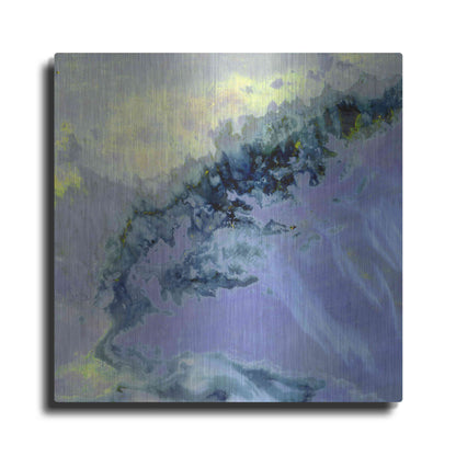 Luxe Metal Art 'Earth as Art: Lurking Madness,' Metal Wall Art