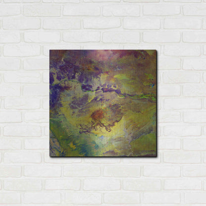 Luxe Metal Art 'Earth as Art: Sabotage,' Metal Wall Art,24x24