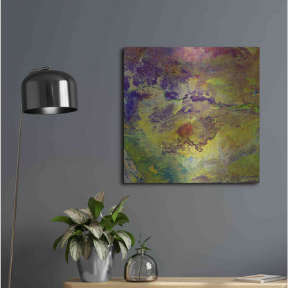 Luxe Metal Art 'Earth as Art: Sabotage,' Metal Wall Art,24x24