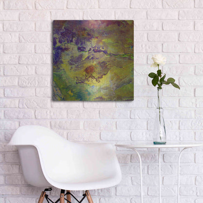 Luxe Metal Art 'Earth as Art: Sabotage,' Metal Wall Art,24x24